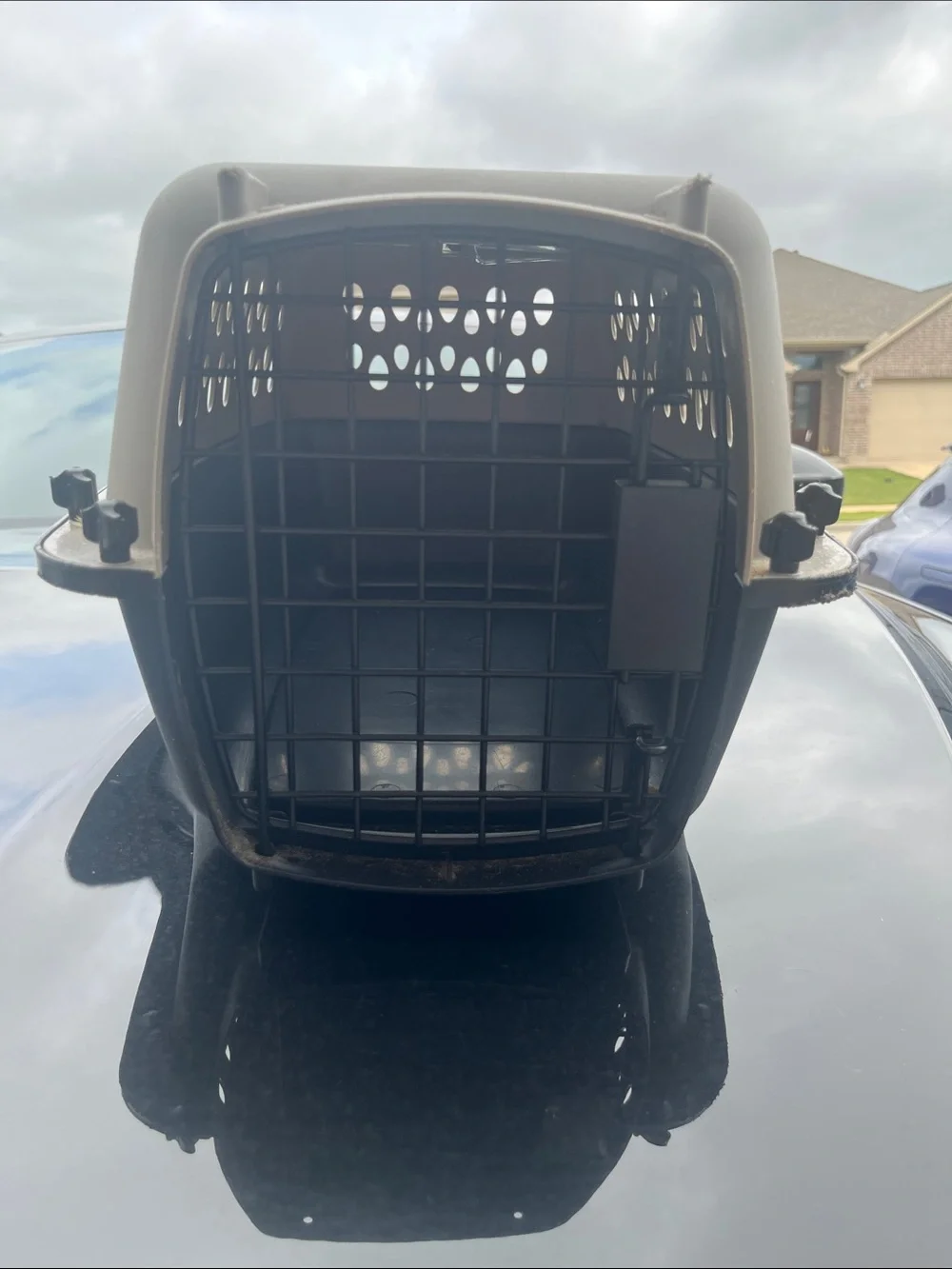 DONATED Two-Tone Plastic Pet Carrier with Ventilation Holes